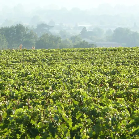 La Pignarderie Wines Belves-de-Castillon